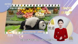 亚洲综合图色40p
